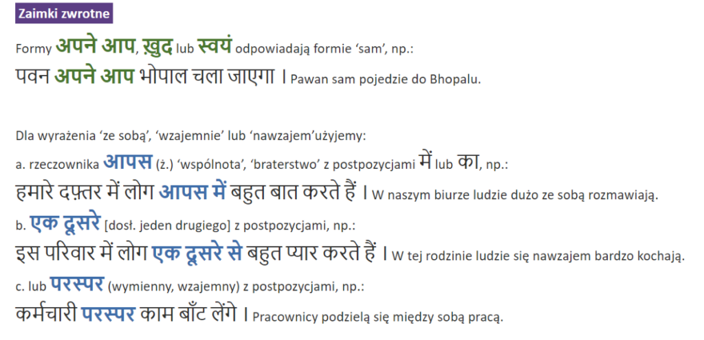 a screen of the grammar section with partial description of reflexive pronouns